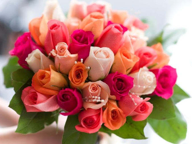 6a00e55197a0e1883301156f63990d970c-800wi