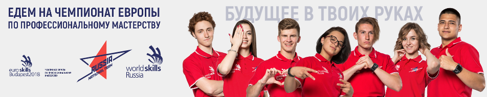 баннер НС WSR